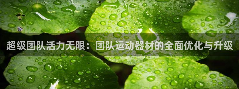 征途国际平台体育：超级团队活力无限：团队运动器材的全
