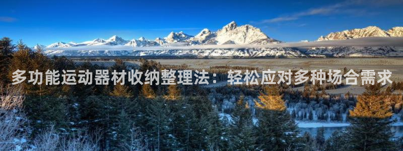 征途国际平台注册要钱吗是真的吗：多功能运动器材收纳整