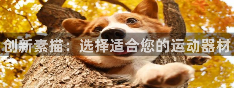 征途国际平台是正规平台吗：创新素描：选择适合您的运动器材