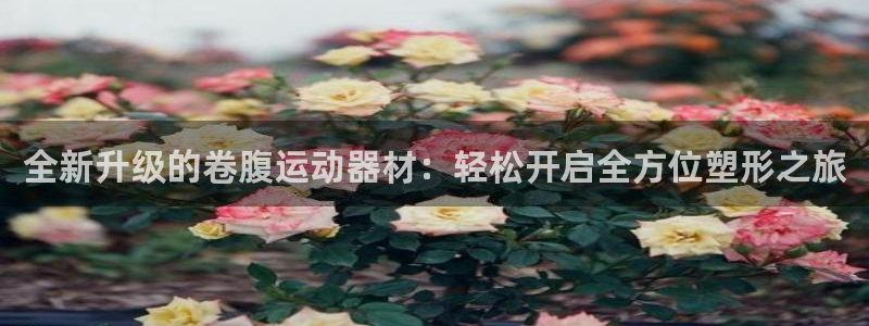 征途国际招商电话号码查询：全新升级的卷腹运动器材：轻