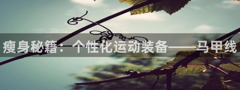 征途国际代理：瘦身秘籍：个性化运动装备——马甲线