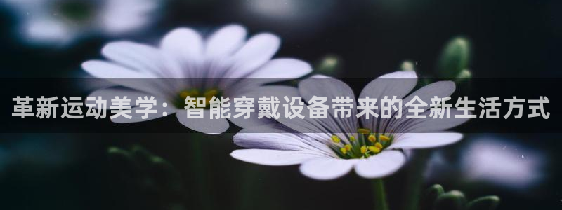 征途国际官方：革新运动美学：智能穿戴设备带来的全新生活方式