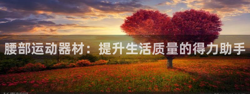 德国征途国际集团：腰部运动器材：提升生活质量的得力助