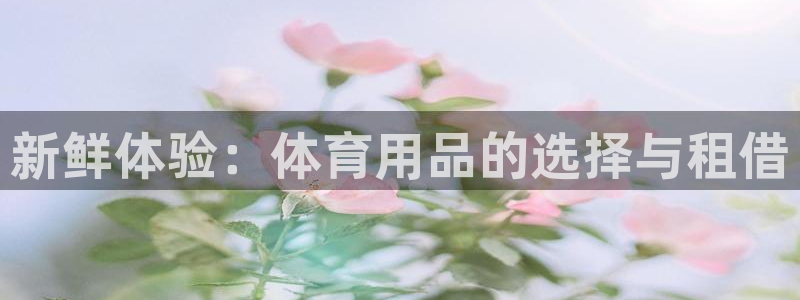 征途国际平台是正规平台吗安全吗：新鲜体验：体育用品的