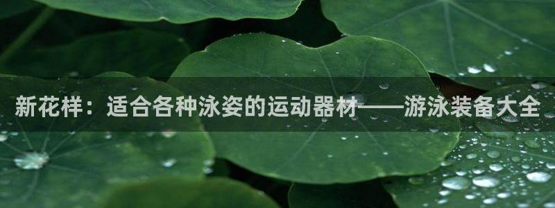 海南征途国际：新花样：适合各种泳姿的运动器材——游泳