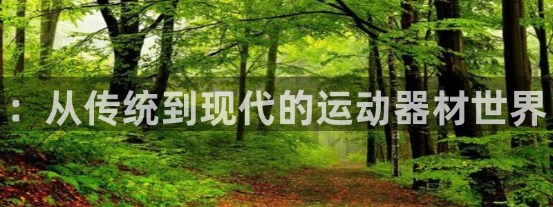 征途国际娱乐网站：：从传统到现代的运动器材世界