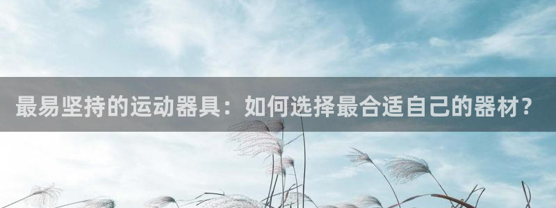 征途国际新能源