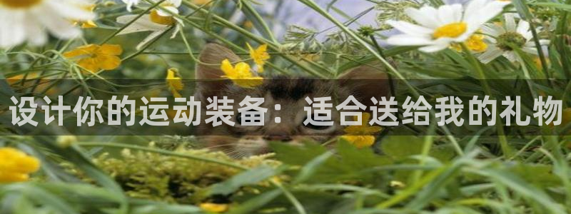 征途国际娱乐首页网站大全：设计你的运动装备：适合送给我的礼物