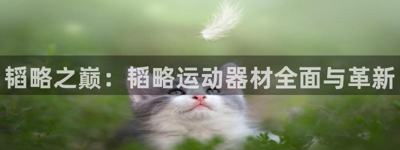 注册征途国际：韬略之巅：韬略运动器材全面与革新