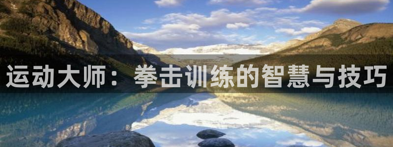 征途国际招商电话地址查询：运动大师：拳击训练的智慧与