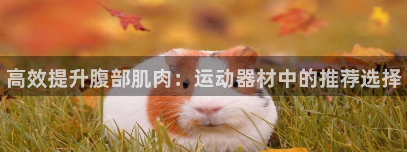 征途国际娱乐代理怎么样