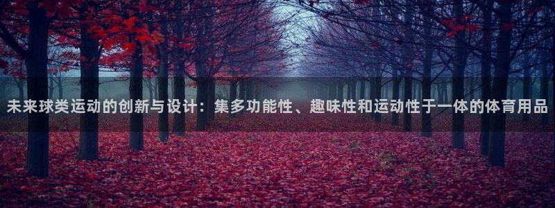 征途国际官网：未来球类运动的创新与设计：集多功能性、趣味性和