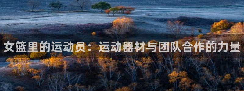 征途国际开户：女篮里的运动员：运动器材与团队合作的力量