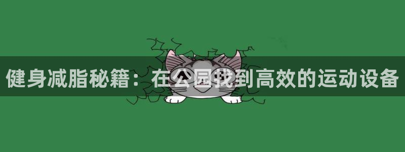 征途国际代理：健身减脂秘籍：在公园找到高效的运动设备