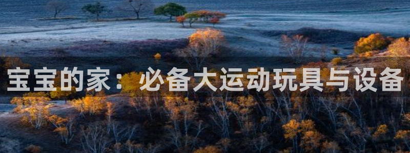 征途国际平台APP