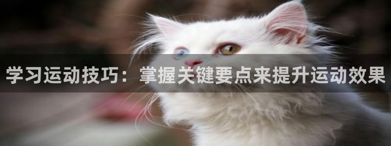 征途国际招商电话：学习运动技巧：掌握关键要点来提升运动效果