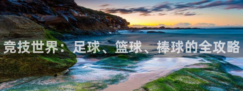 77体育官网：竞技世界：足球、篮球、棒球的全攻略