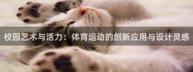 77体育app下载官网：校园艺术与活力：体育运动的创新应用与设计灵感