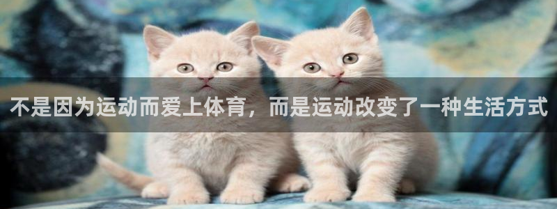77体育官网：不是因为运动而爱上体育，而是运动改变了一种生活方式