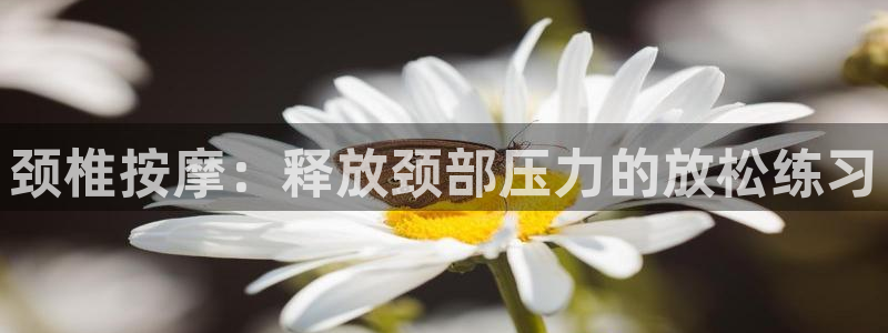 77体育官网：颈椎按摩：释放颈部压力的放松练习