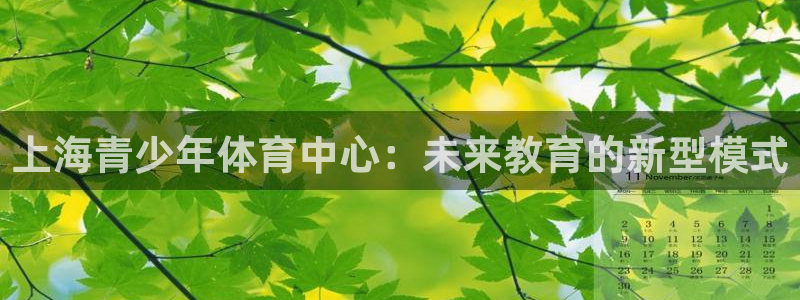 皇冠277体育：上海青少年体育中心：未来教育的新型模式