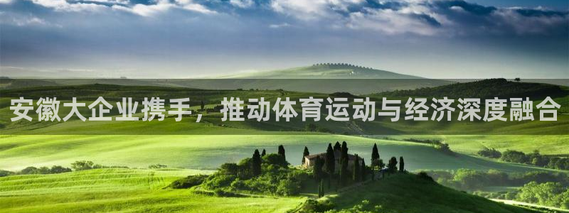 77体育app下载官网：安徽大企业携手，推动体育运动与经济深度融合