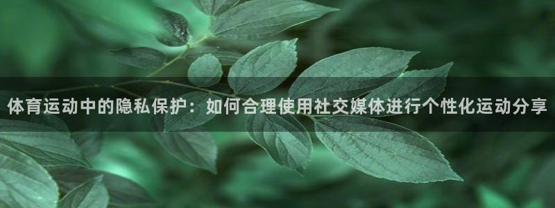 77体育