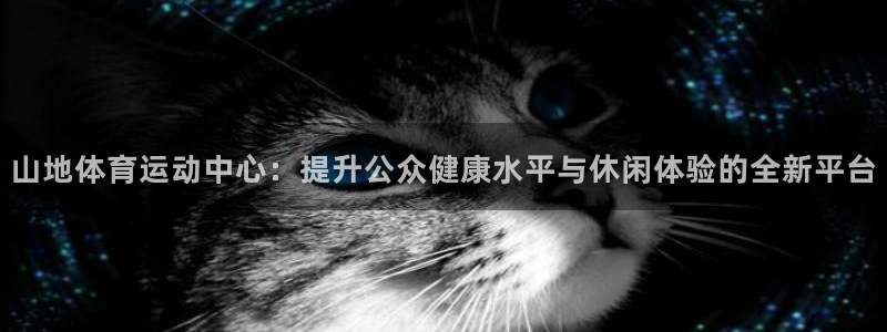 77体育app下载官网