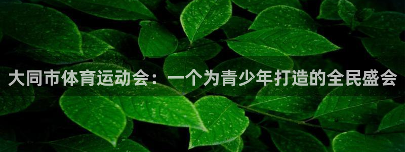 77体育官网：大同市体育运动会：一个为青少年打造的全民盛会