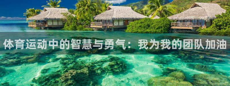 皇冠277体育：体育运动中的智慧与勇气：我为我的团队加油
