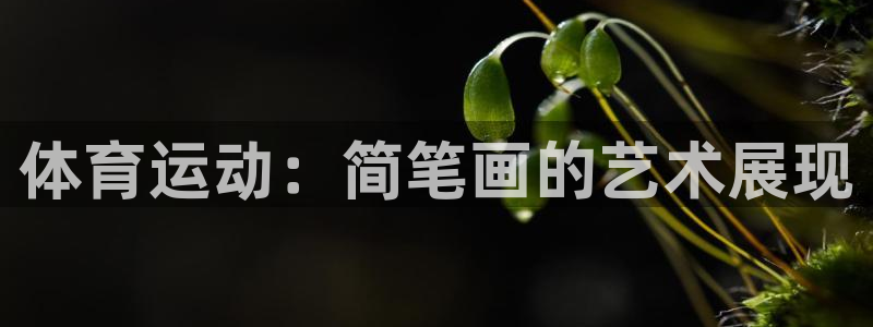 77体育：体育运动：简笔画的艺术展现